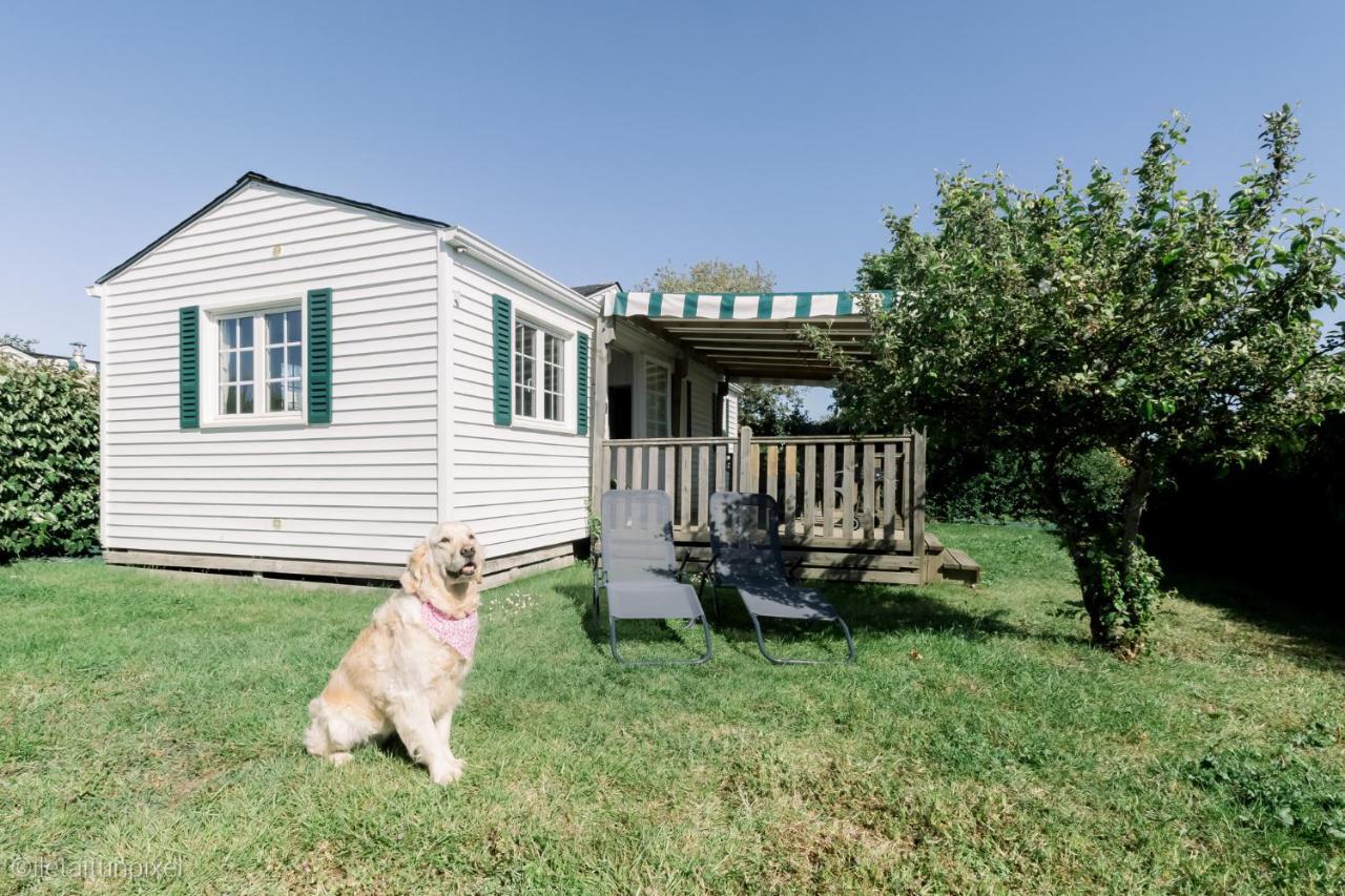 Le Cottage De Lyxie-Nature Et Sports Talmont-Saint-Hilaire Buitenkant foto