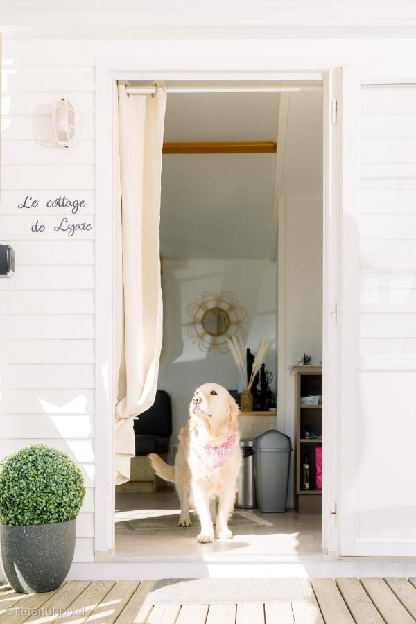 Le Cottage De Lyxie-Nature Et Sports Talmont-Saint-Hilaire Buitenkant foto